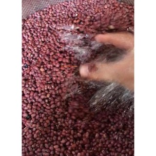 [1 kg] Bột đậu đỏ rang củi nguyên chất nhà làm - Chuẩn vị quê, không đường