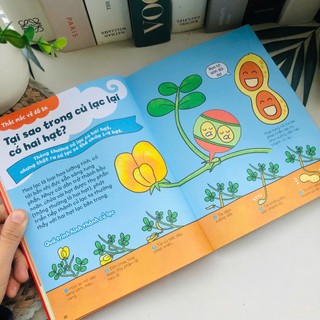 Sách - Gi gỉ gì gi cái gì cũng biết (Dành cho lớp 2)
