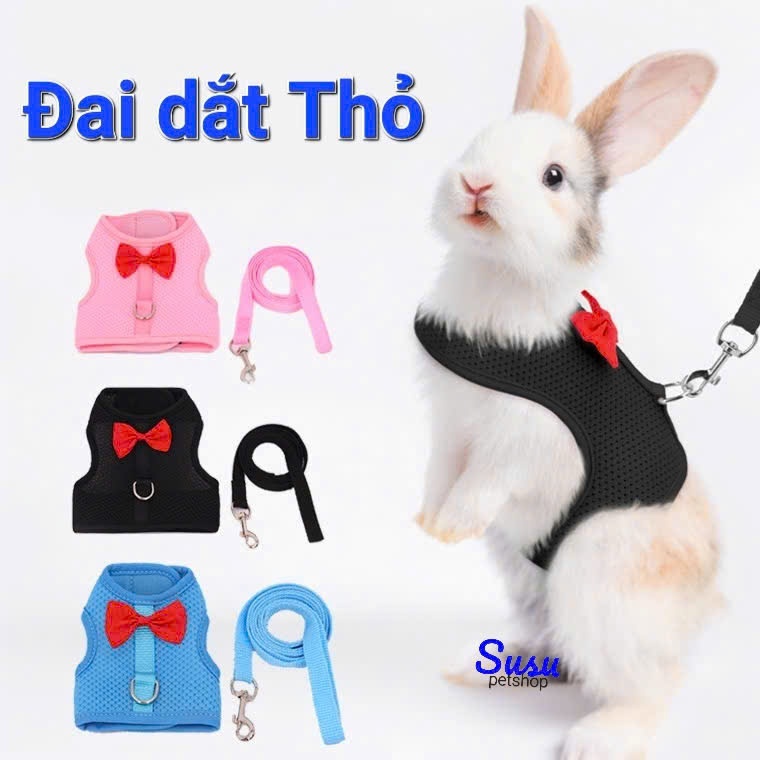 Đai đeo + dây dắt cho Thỏ, Mèo và Bọ