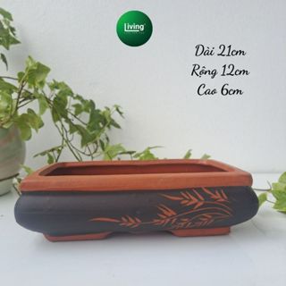 Chậu Chữ nhật khắc trúc bonsai trồng cây cảnh sen đá gốm sứ Bát Tràng họa tiết | Living Decor