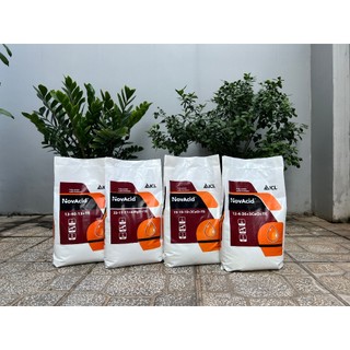 Phân bón NPK 19-19-19+3CaO+TE -Israel
