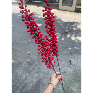 CÀNH ĐÀO ĐÔNG ĐỎ(6 nhánh -12 nhánh)