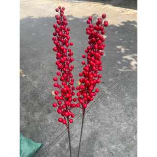 CÀNH ĐÀO ĐÔNG ĐỎ(6 nhánh -12 nhánh)