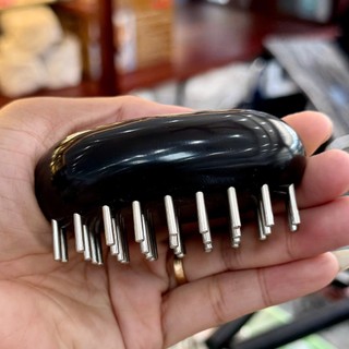 Con bọ lớn, nhỏ diện chẩn