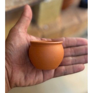 Chậu đất nung bắp cải mini trồng sen đá, xương rồng