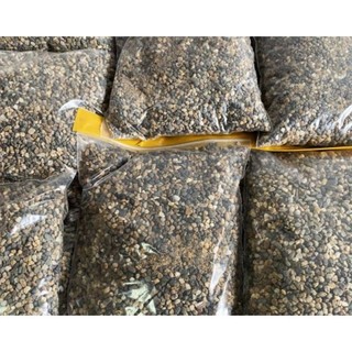 Sạn Suối Trải Nền Thủy Sinh