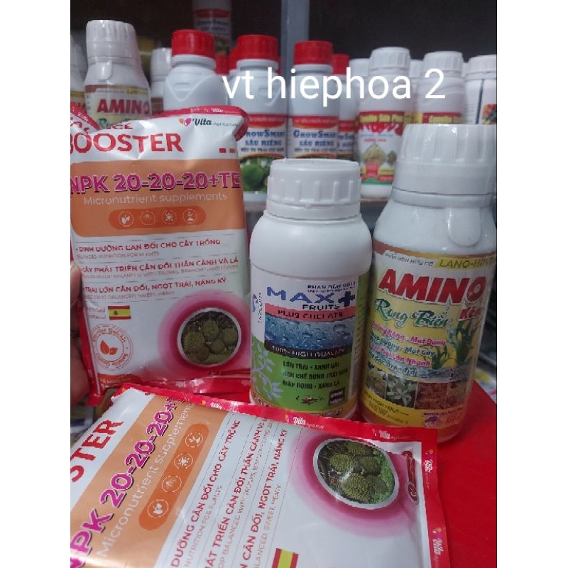 Combo Lớn Trái Sầu riêng (400lit)