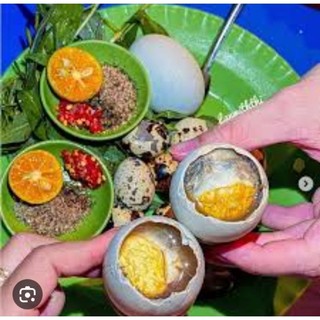 Trứng Vịt Lộn Vân Đình (đảm bảo trứng tươi,vừa ăn)(trứng sống) khay 10 quả