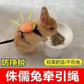 Đai đeo + dây dắt cho Thỏ, Mèo và Bọ