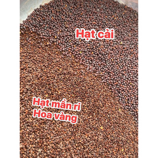 Hạt Mần Ri Kích Lửa Cu Gáy 1kg