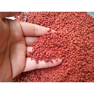 1 KG Hạt điều màu/ Hạt điều đỏ tạo màu/ Hạt Cari _ Hạt Điều Đỏ, hạt điều màu giá sỉ, màu đẹp Nongsangiasi