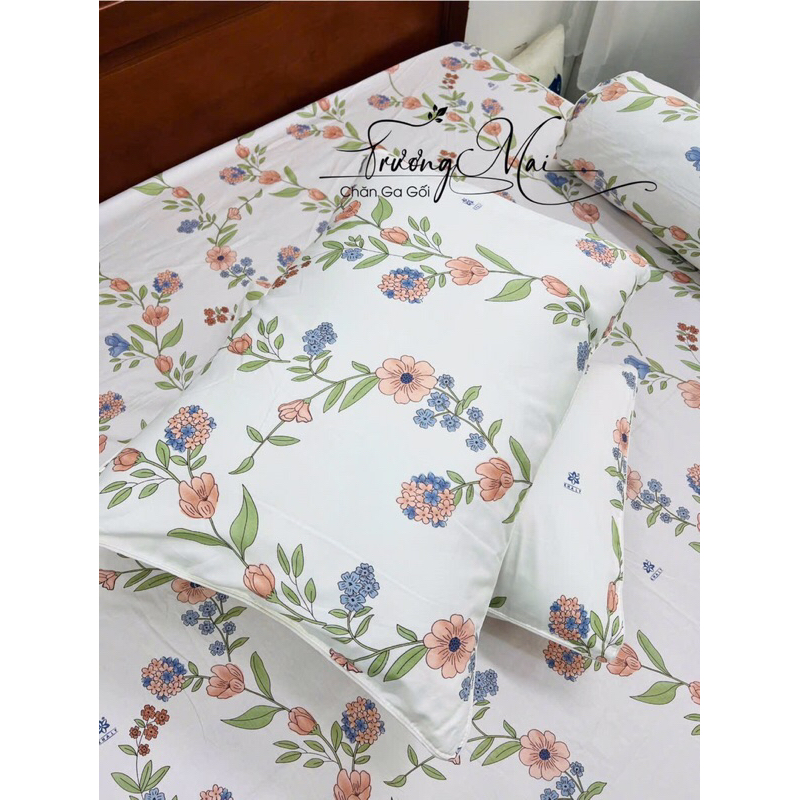 Ga gối 100% coton 4 món (1 ga 2 vỏ nằm 1 vỏ ôm)