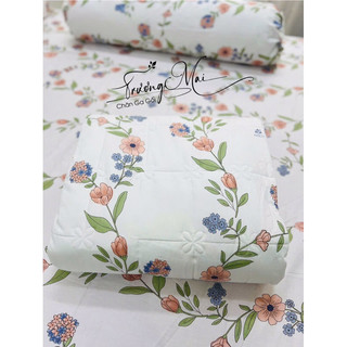 Ga gối 100% coton 4 món (1 ga 2 vỏ nằm 1 vỏ ôm)