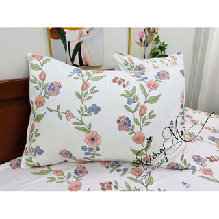 Ga gối 100% coton 4 món (1 ga 2 vỏ nằm 1 vỏ ôm)