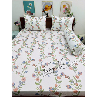 Ga gối 100% coton 4 món (1 ga 2 vỏ nằm 1 vỏ ôm)
