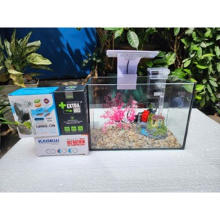 Combo Hồ Cá Mini Siêu Xinh 24x12x17cm - Thế Giới Biển Nhỏ Trong Tầm Tay: Hồ cá, lọc nước, đèn led và phụ kiện trang trí