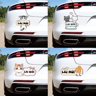  Dán Xe Oto Mẫu Mèo Cute in chữ LÁI MỚI chống nước dán xe oto trang trí Oto in hình theo yêu cầu in Chữ yêu cầu 