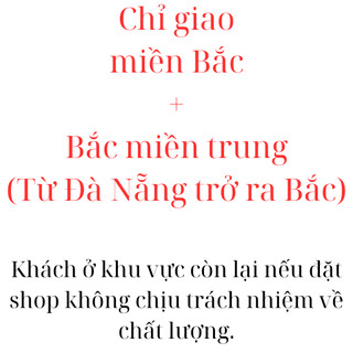 Cây Cỏ Nhung Nhật (Cỏ Thật) - 1m2, cuộn cỏ nhật bán theo tấm cuộn ( Chỉ giao miền Bắc+Bắc miền Trung )