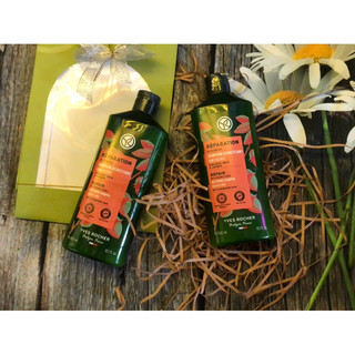 Dầu gội đầu Brillance - Yves Rocher