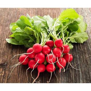 1Gr Hạt Giống Củ Cải Đỏ Cherry (A1.205| G10*W64*M211)