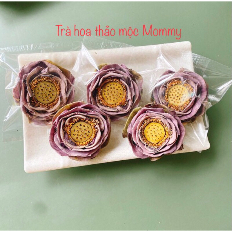 Set 10 gói Trà hoa sen sấy lạnh đã hút chân không