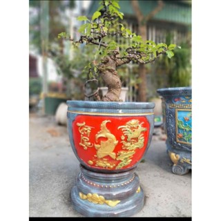 Khuôn đúc chậu cảnh tròn thống 55 xoay 360°