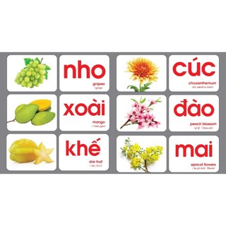 Thẻ học To khổ A5-15x21cm (Bìa Xanh Trắng) ép màng Không Thấm nước, Dạy bé về TGXQ 16 chủ đề 120 thẻ