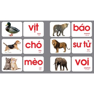 Thẻ học To khổ A5-15x21cm (Bìa Xanh Trắng) ép màng Không Thấm nước, Dạy bé về TGXQ 16 chủ đề 120 thẻ