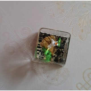 Keycap Kamonegi - nút bàn phím hình Kamonegi