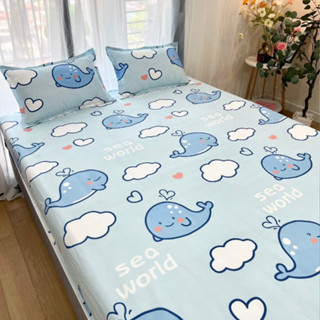 Bộ ga giường cotton poly 3 món nhiều mẫu lựa chọn ga bo chun