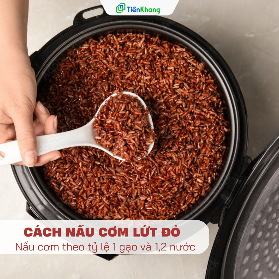 Gạo Lứt Đỏ Cỏ May - Túi 2kg - Gạo lứt hữu cơ cho người thực dưỡng, người ăn kiêng - Cơm mềm, xốp., rất dễ ăn