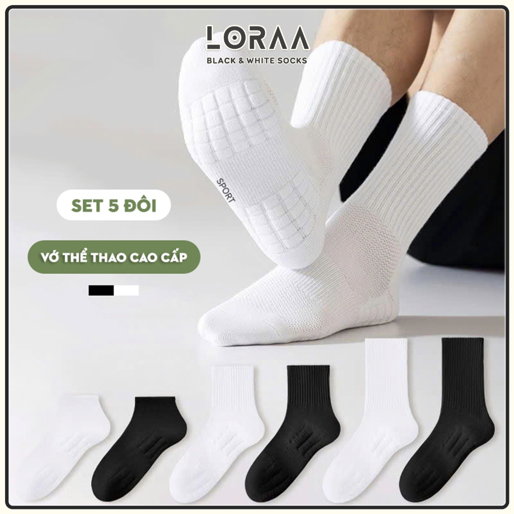 [COMBO 5 ĐÔI] Tất vớ cotton nam 3 chiều cao hàng cao cấp, phong cách Hàn Quốc Basic - Loraa Shop