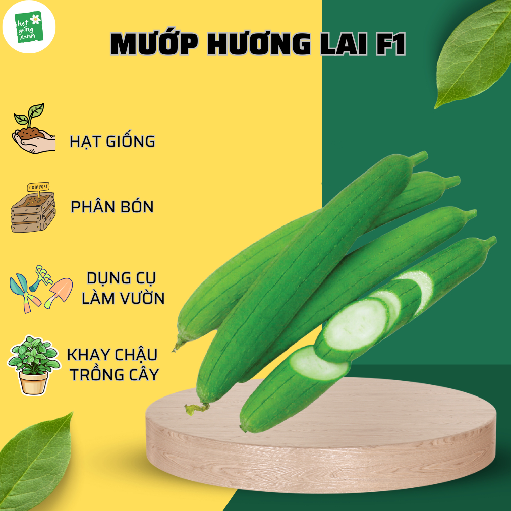 Mướp Hương Lai F1 rado 39(1g), phù hợp khí hậu Việt Nam