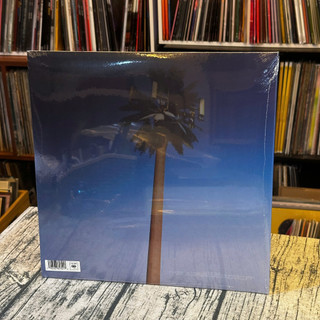 MILEY CYRUS Endless Summer Vacation Vinyl
