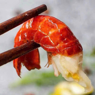 Tôm Hùm Đất