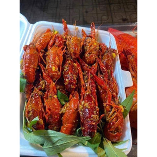 Tôm Hùm Đất