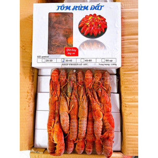 Tôm Hùm Đất