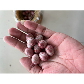 Trứng chim giả chào mào làm từ keo Epoxy, trọng lượng tương đương trứng xi măng. 💰 Giá: 45.000đ / 1 quả