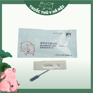 Que Thử Thai Cho Heo Chính Xác 99%, Nhanh Chóng, Tiện Lợi, Dễ Sử Dụng, Hàng Chuẩn Chính Hãng