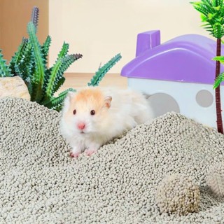 Cát sand thơm 1kg lót chuồng hamster (đọc kĩ mô tả)
