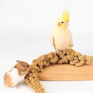 Kê chùm, kê sợi 100gr cho hamster, sóc, vẹt, yến phụng, chim cảnh