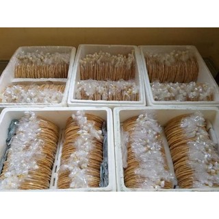 BÁNH KHOAI LANG NƯỚNG ĐẶC SẢN BÌNH ĐỊNH