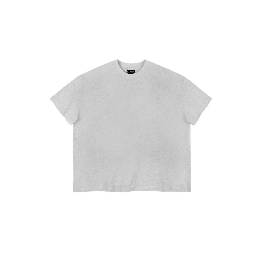 ÁO THUN BOXY TRƠN DAMIESE COTTON 260GSM Cổ Tròn | BigBuy360 - bigbuy360.vn