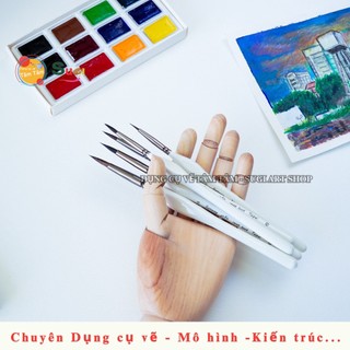 [ SUGI ART SHOP ] Cọ vẽ nét Lông Sóc thân trắng cọ Sunway  B008