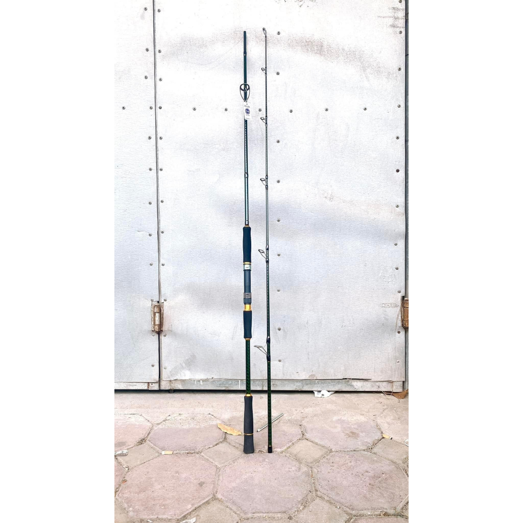 Cần 2 khúc EXPANDE (DE) khoen fuji,phôi carbon xoắn X toàn thân