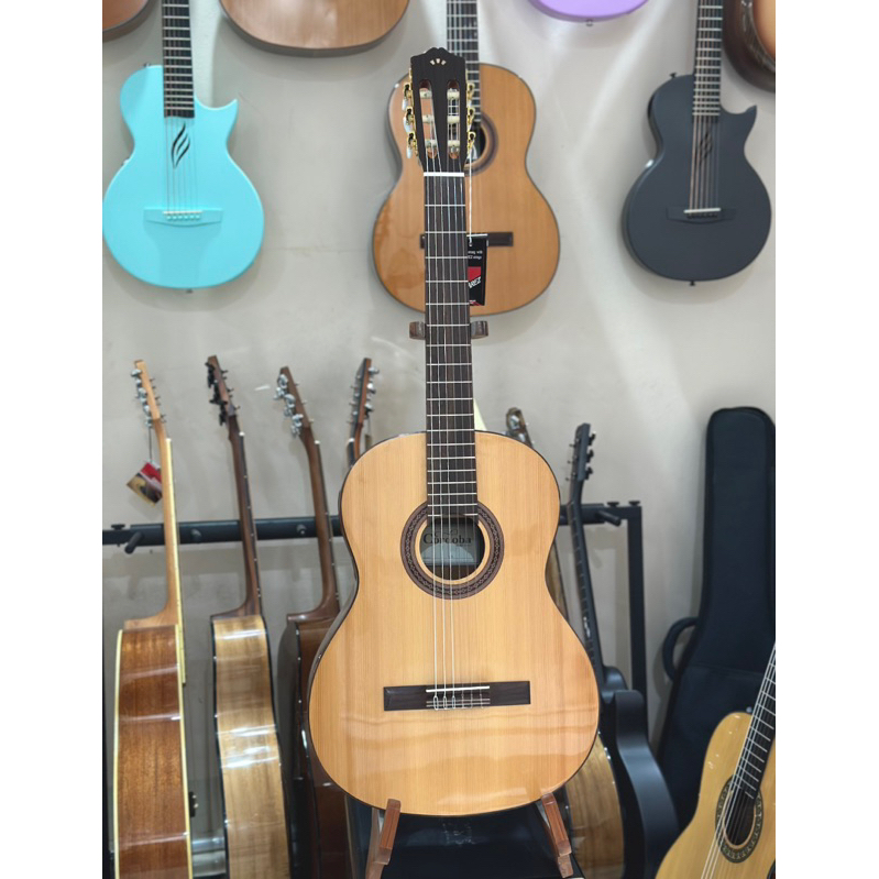 Guitar Classic Cordoba C5 CD Top Cedar Solid (Mặt sẫm) - Thân Nguyễn Music Phân Phối Chính Hãng