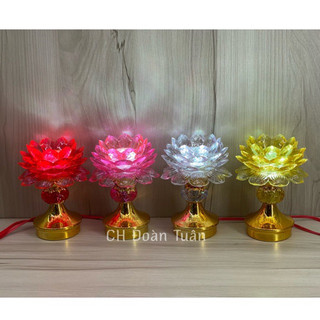 ĐÈN THỜ HOA SEN TRÁI CHÂU(1CẶP) TC01