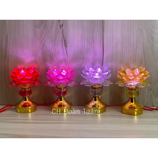 ĐÈN THỜ HOA SEN TRÁI CHÂU(1CẶP) TC01