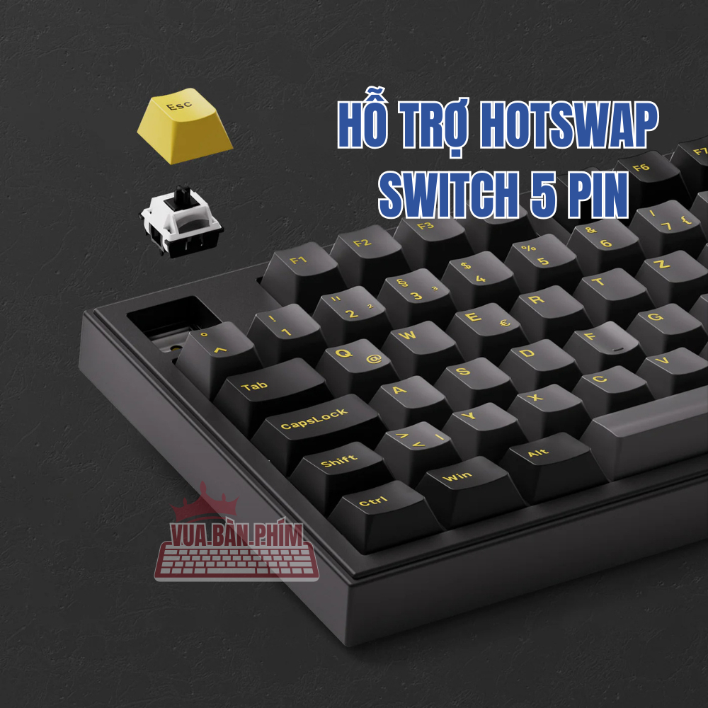 [HÀNG SẴN ] Bàn phím cơ không dây Akko 5098 |  5098B mạch xuôi, 3 mode , núm xoay, màn hình tft , led rgb, hotswap | BigBuy360 - bigbuy360.vn