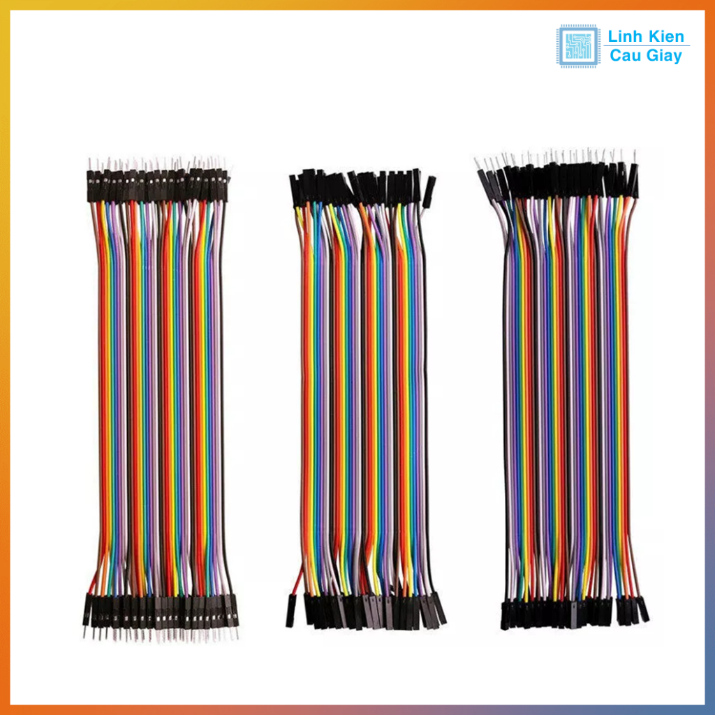 Dây bus 40P 20CM (40 sợi)